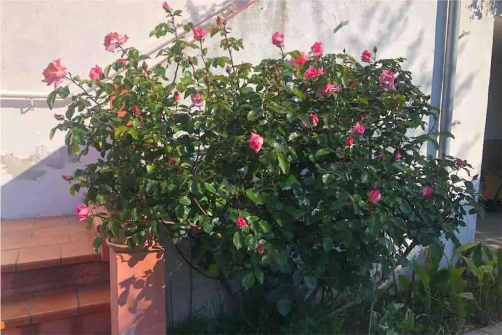 Maison Classee Meuble 3 Etoiles, Proche Mer. Sainte-Maxime